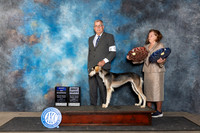 Saluki #6 Fri BOWBP Judge Lois Ann Snyder