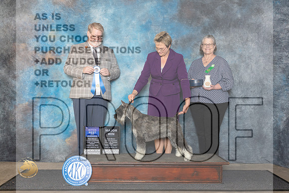 Standard Schnauzer #18 Fri WBBOWM Judge Harold Tatro III__JP_1401_FWKC_2024_HR3