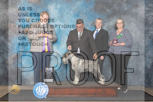 Standard Schnauzer #5 Fri BISS Judge Harold Tatro III__JP_1375_FWKC_2024_HR3