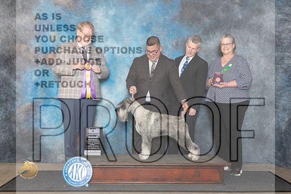 Standard Schnauzer #5 Fri BISS Judge Harold Tatro III__JP_1378_FWKC_2024_HR3