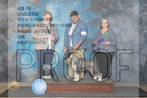 Standard Schnazuer #21 Fri SDM Judge Harold Tatro III__JP_1398_FWKC_2024_HR3