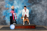 Basenji #10 Fri BOS Judge Molly Martin