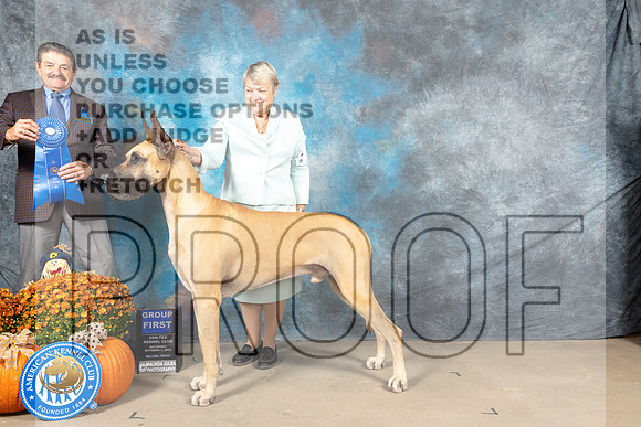 Great Dane #7 Sat G1 Judge Lloyd Graser_MJ_6191_Belton_2022_HR3