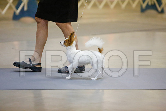 _JJ_1731-AmarilloSept2014-HR3