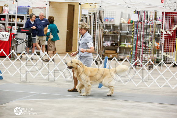 _JN_1239-AblnMay2014-web