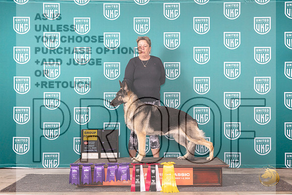 German Shepherd Dog #215 BOB__JP_2453_UKCEastern_2024_HR3