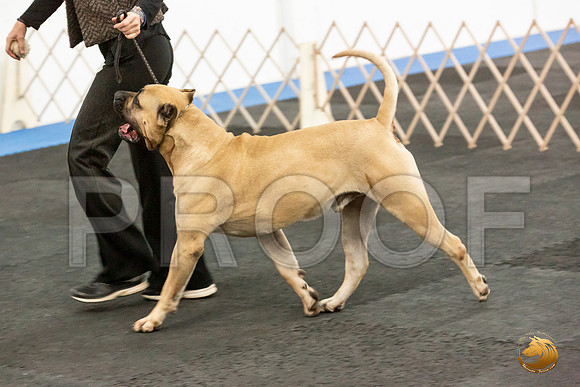 Club Candids_JJL_6039_UKCAddison2020-HR3