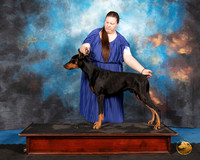 Doberman Pinscher #100 Sat 3