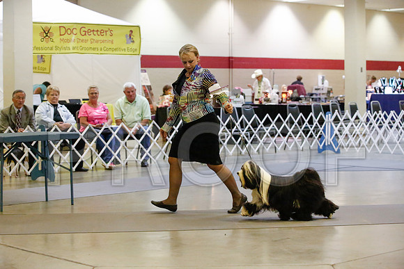 _JJ_0166-AmarilloSept2014-HR3