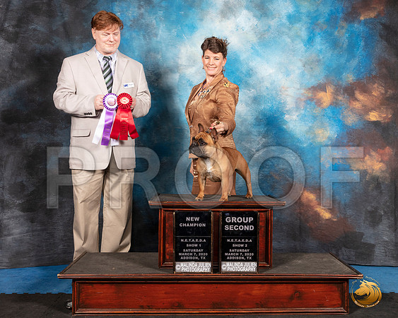French Bulldog #188 Sat S2 G2 Judge Ronny Junkins__SR_1763_UKCAddison2020-HR3