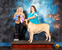 Mastiff #227 Sat S2 G1