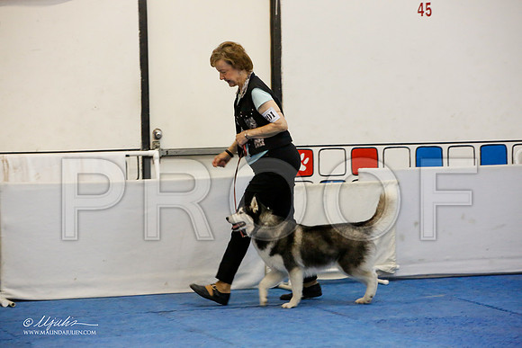 _M3_7711-AddisonHuskyMar2015-HR3