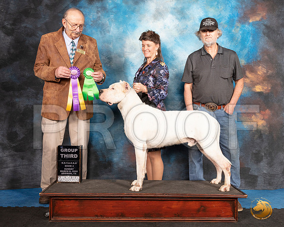 Dogo #281 Sun G3 Judge Alan Krenek__SR_1869_UKCAddison2020-HR3