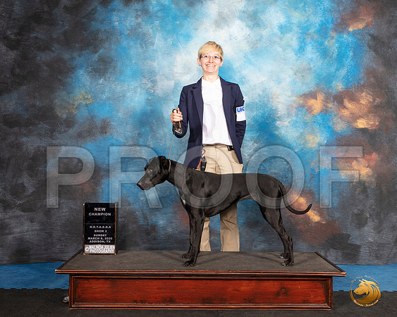 Louisiana Catalhoula Leopard Dog #168 Sun__SR_1872_UKCAddison2020-HR3