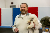 Poodle Mike