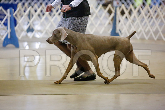 _JJ_6086-AmarilloSept2014-HR3