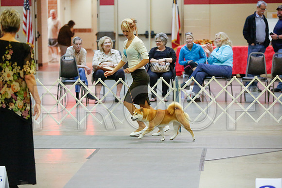 _JJ_3853-AmarilloSept2014-HR3