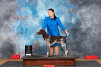 German Shorthaired Pointer #23 Sun WBBOWM Judge Ann Ross See Note