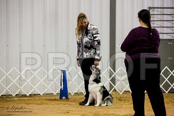 _JJ_8878-ASCACollegeStationNov2014-HR3