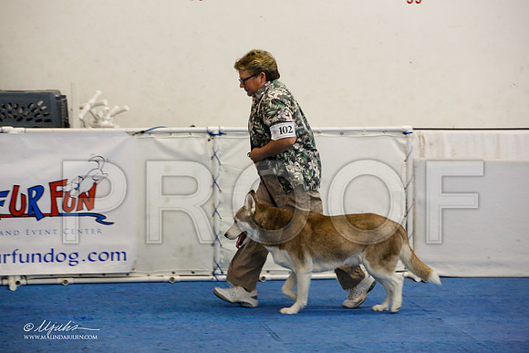 _M3_7836-AddisonHuskyMar2015-HR3