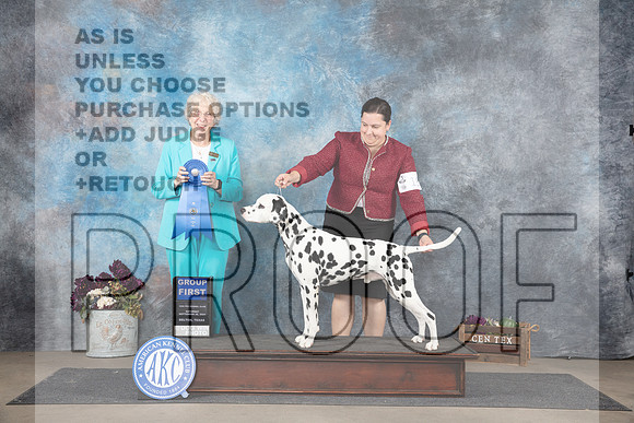 Dalmation #19 Sat G1 Judge Sulie Greendale-Paveza__JP_7527_Belton_2024_HR3