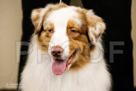 _JJ_1684-FWKCMar2015-HR3