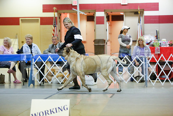 _JN_5315-AmarilloSept2014-HR3