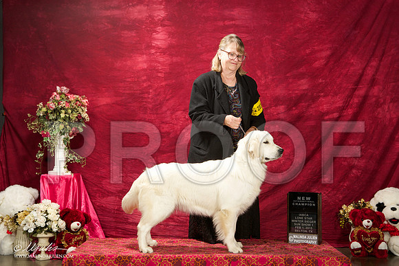 _ST_2891-BeltonJan2015IABCA-HR3