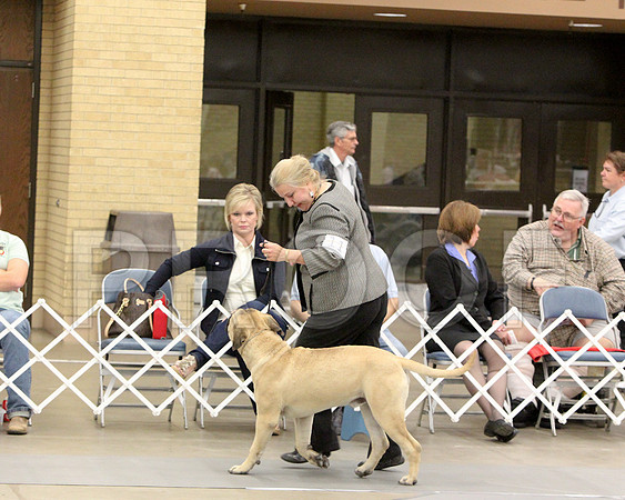6-9PupSweeps-6519