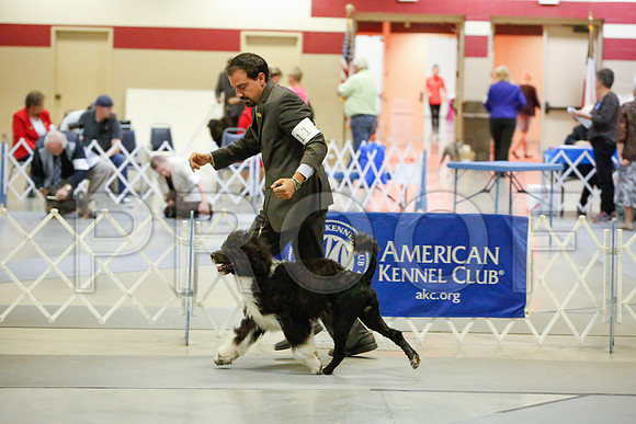 _JJ_9523-AmarilloSept2014-HR3