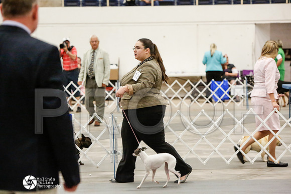 _CK_6053-AblnMay2014-web