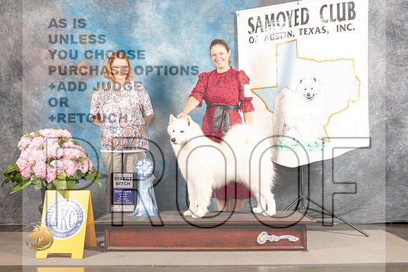 Samoyed #26 THUR SB Judge Luis Sosa_MJ_4055_Houston_2022_HR3