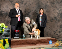 Bulldog #202 Fri BOS Judge James Cardello