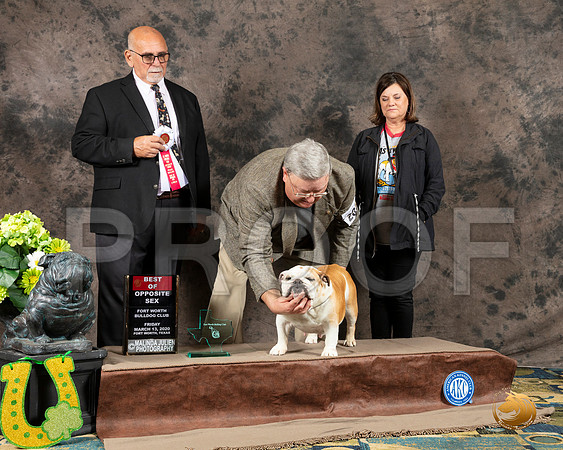 Bulldog #202 Fri BOS Judge James Cardello__SR_2079_BulldogFW2020-HR3