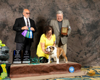 Bulldog #5 Fri WD BOW Maj Judge James Cardello