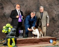 Bulldog #58 Fri WB Judge James Cardello