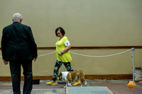 6 to 9 Dogs Fri