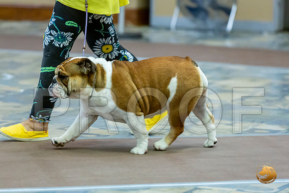 BBX Bitches Fri_JJL_7598_BulldogFW2020-HR3