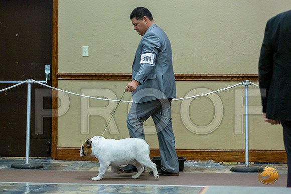 Best of Breed Fri_JJL_7806_BulldogFW2020-HR3