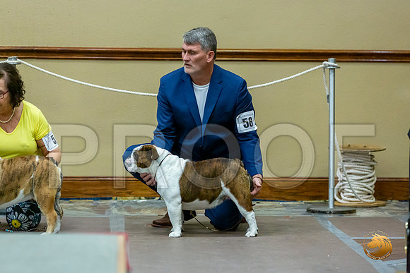 Best of Breed Fri_JJL_7818_BulldogFW2020-HR3