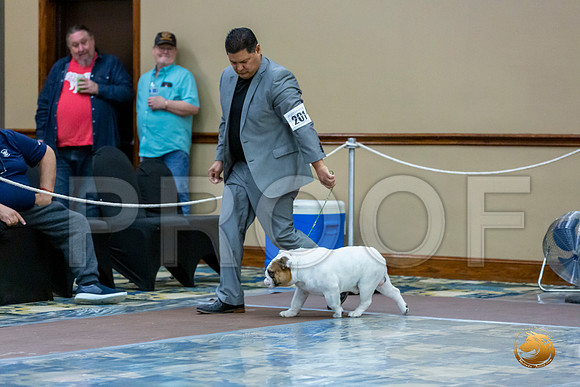 Best of Breed Fri_JJL_7819_BulldogFW2020-HR3