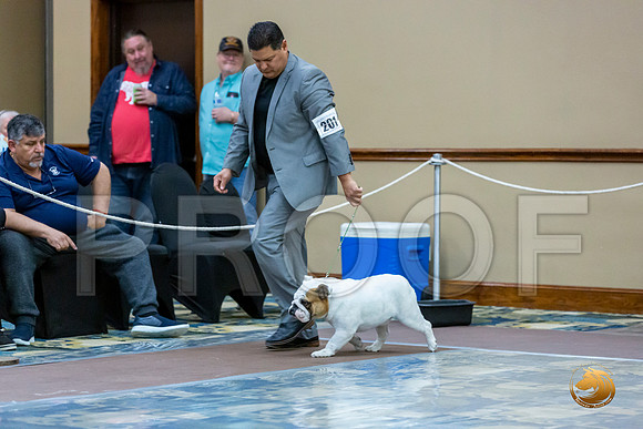 Best of Breed Fri_JJL_7820_BulldogFW2020-HR3