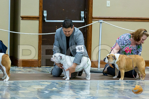 Winners Bitch Fri_JJL_7770_BulldogFW2020-HR3