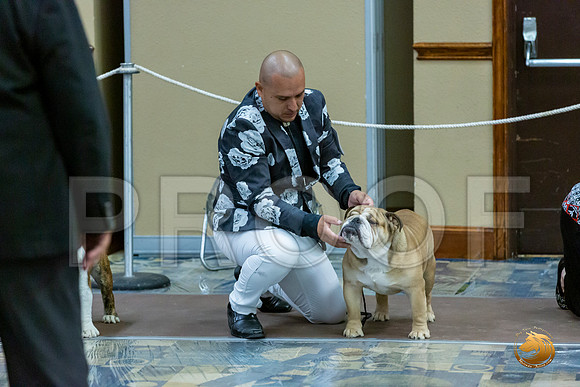 Winners Dog Fri_JJL_7302_BulldogFW2020-HR3