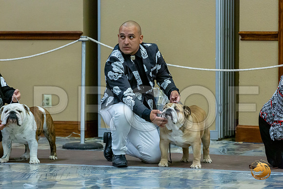 Winners Dog Fri_JJL_7308_BulldogFW2020-HR3