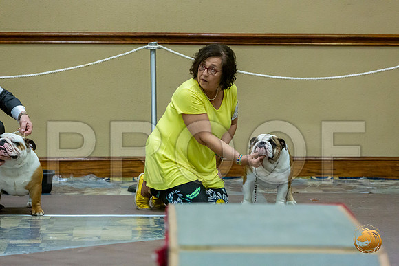 Winners Dog Fri_JJL_7311_BulldogFW2020-HR3