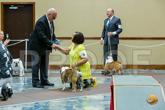 Winners Dog Fri_JJL_7312_BulldogFW2020-HR3