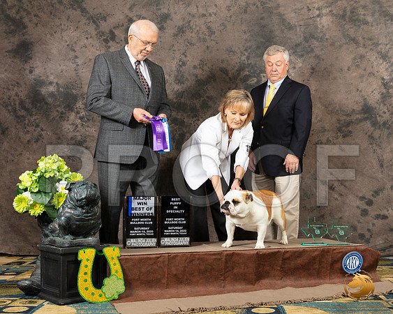 Bulldog #16 Sat 1 BOW BISP Judge Robert Rodenski__SR_2098_BulldogFW2020-HR3