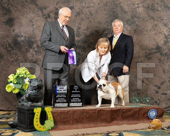 Bulldog #16 Sat 1 BOW BISP Judge Robert Rodenski__SR_2102_BulldogFW2020-HR3