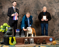 Bulldog #10 Sat Judge Brandon Edge
